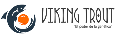 Viking Trout | El poder de la genética