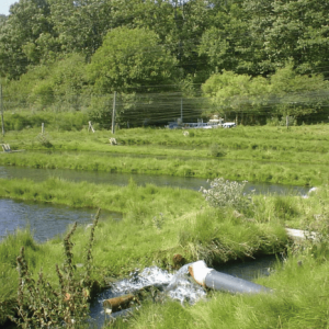 Ollerupgaard Trout Farm 🇩🇰