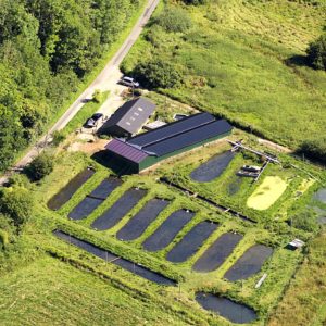 Ravningkaer Trout Farm 🇩🇰