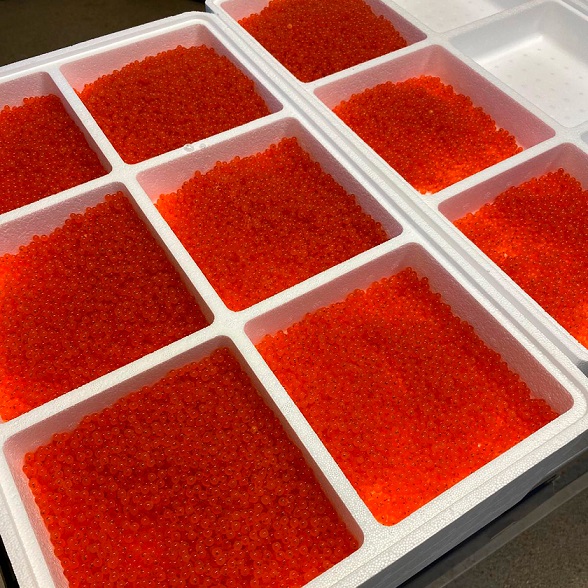 WhatsApp Image 2025-01-28 at 08.51.48