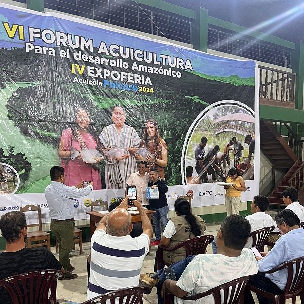 WhatsApp Image 2024-12-06 at 16.09.07 (1)