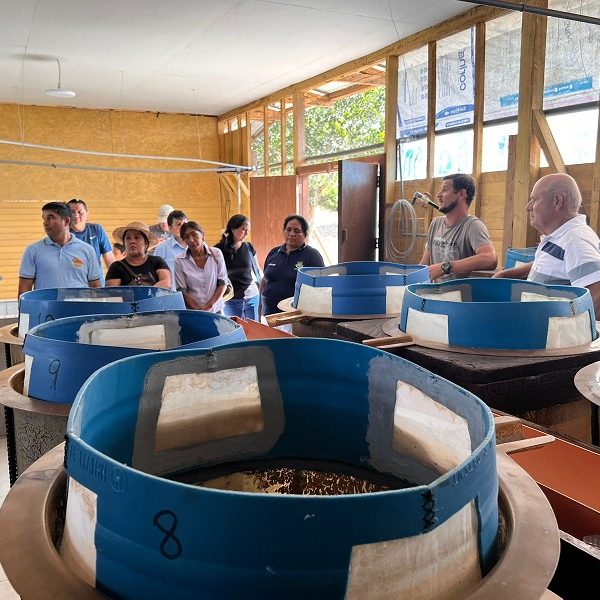 WhatsApp Image 2024-12-06 at 16.09.08 (3)