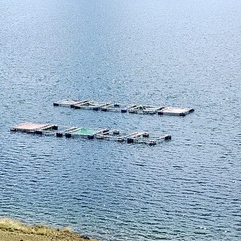 WhatsApp Image 2025-06-19 at 08.15.14 (1)