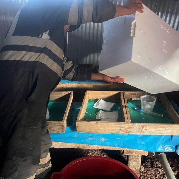 WhatsApp Image 2025-06-25 at 14.28.16