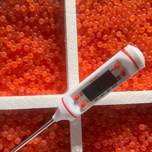 WhatsApp Image 2025-06-25 at 14.28.18