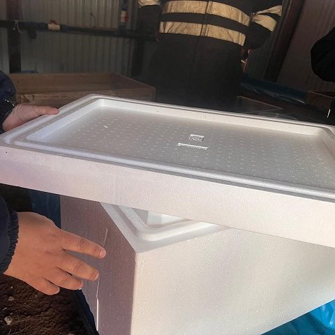 WhatsApp Image 2025-06-26 at 13.25.18 (12)