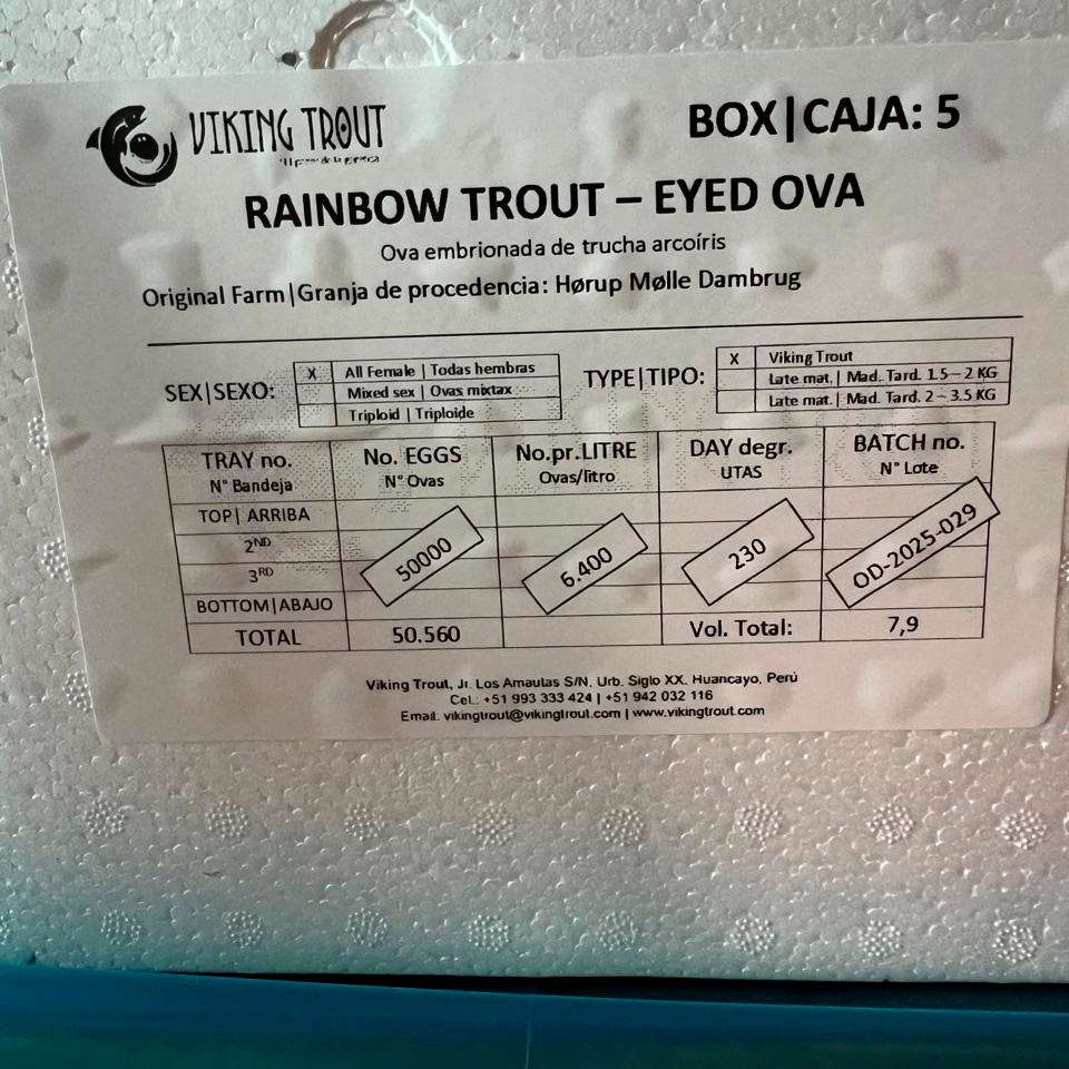 WhatsApp Image 2025-06-26 at 13.22.35 (3)